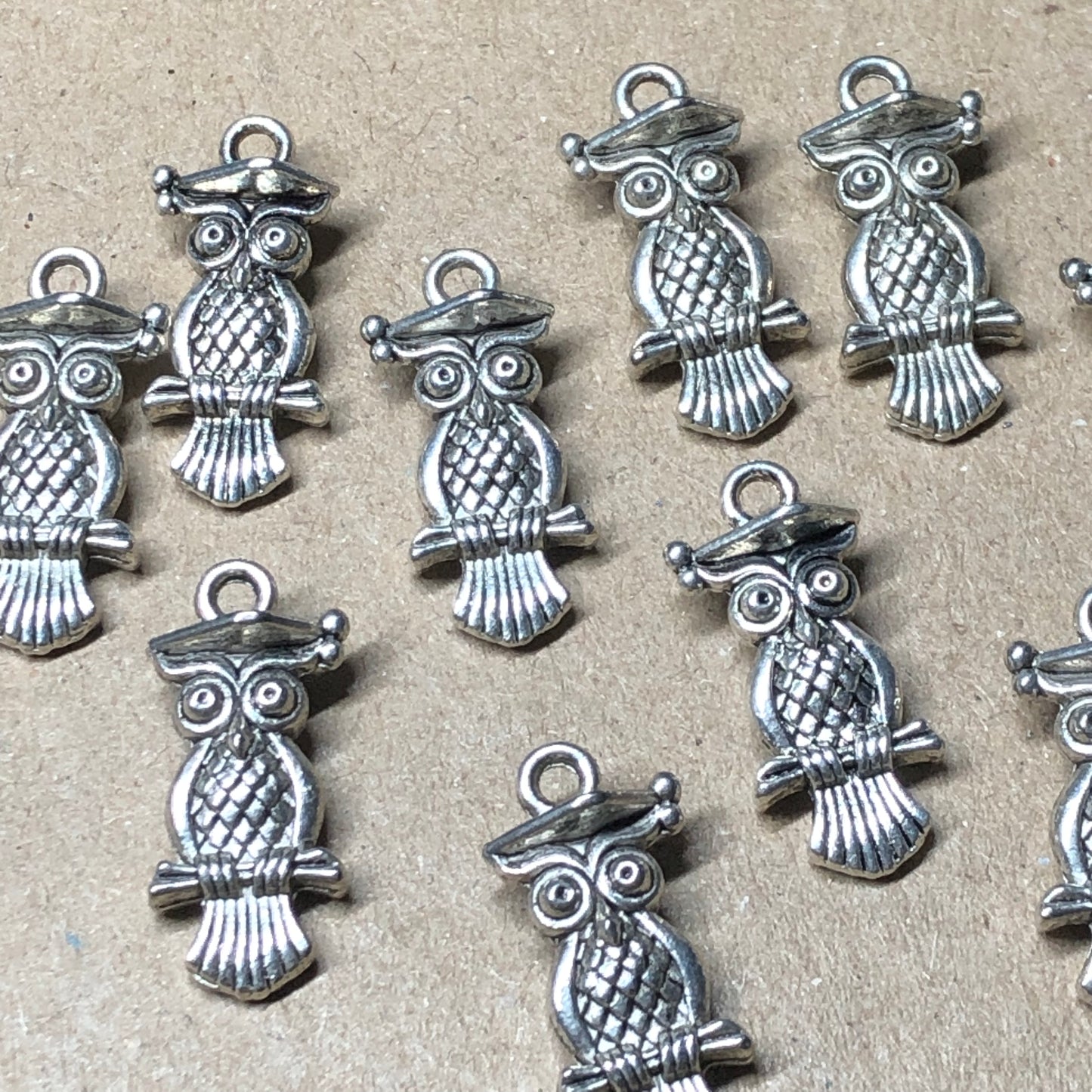 Ten wise owl charms