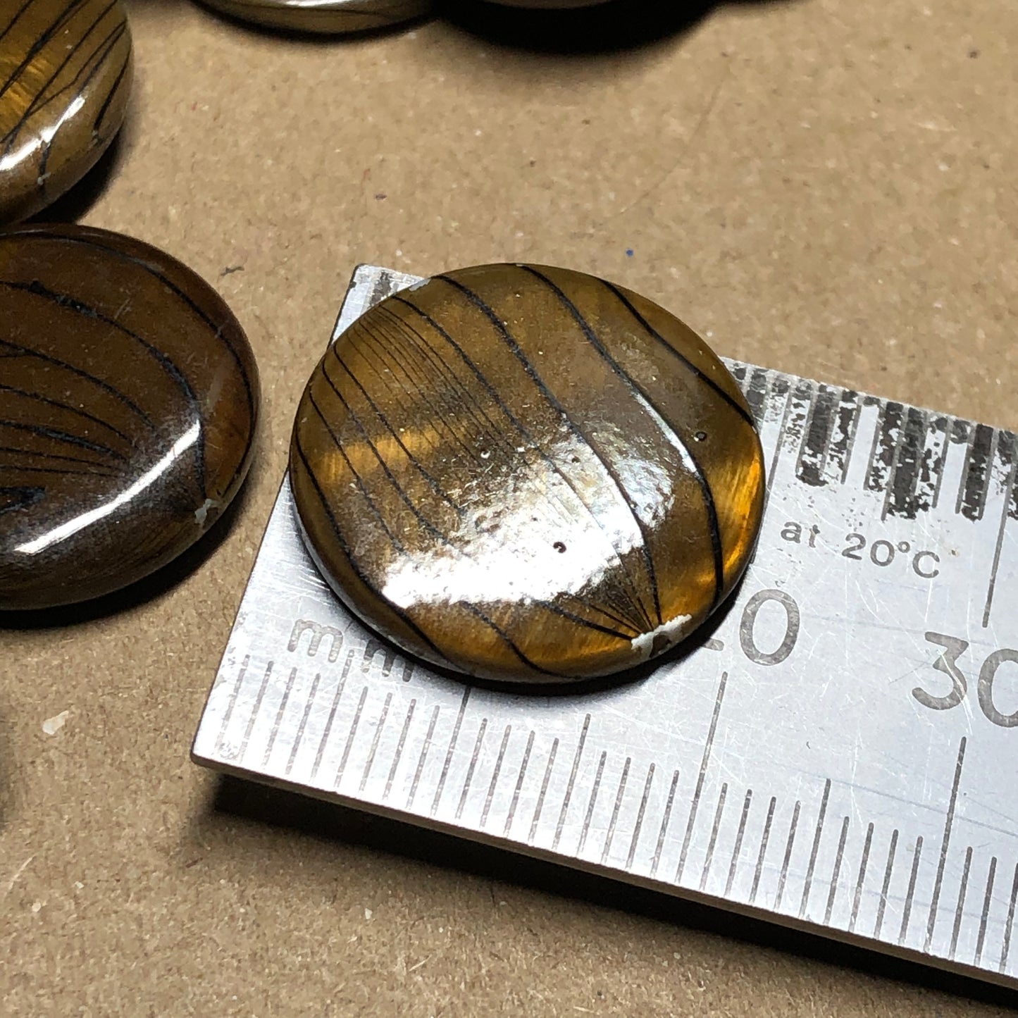 Brown stripe shell beads