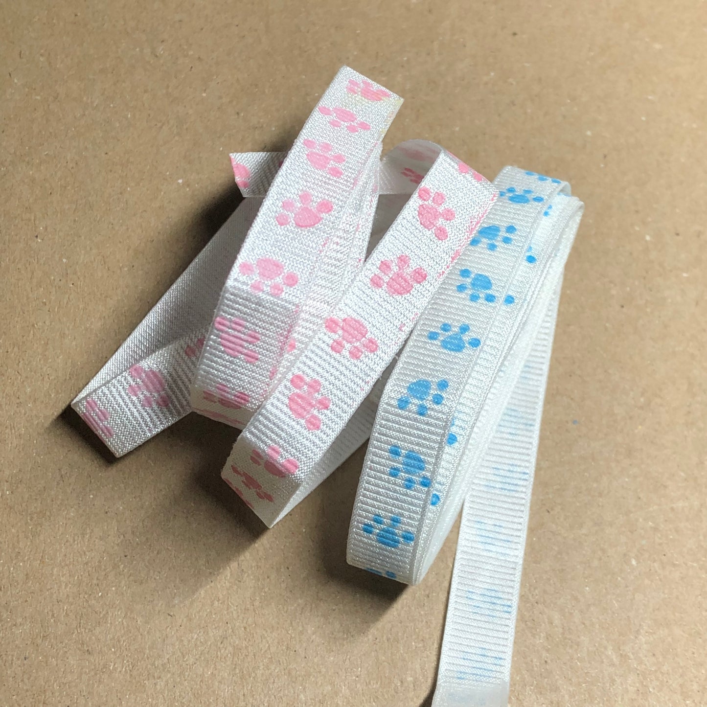 Pawprint craft ribbon pack 1.7m